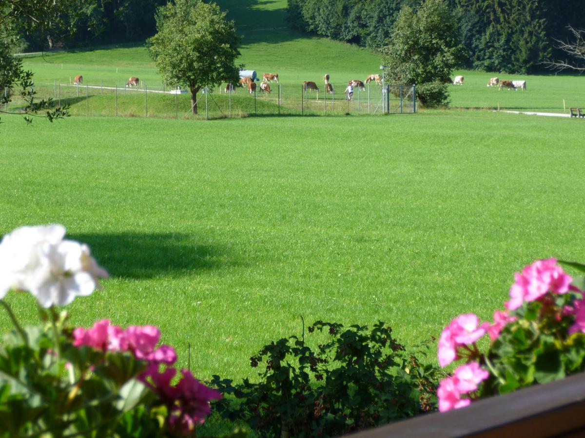 Ferienwohnung Edmeier Bernau am Chiemsee Bagian luar foto